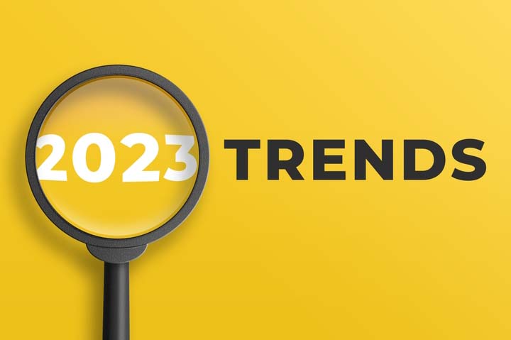 4 Domain Trends to Expect in 2023 | NiceNIC.NET