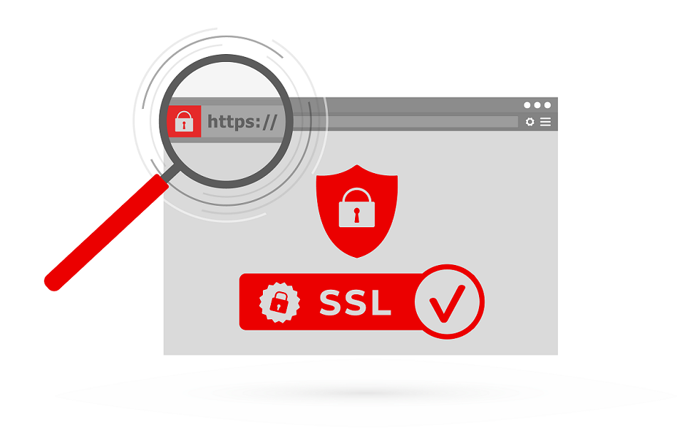 Domain Validation (DV) SSL Certificate | NiceNIC.NET