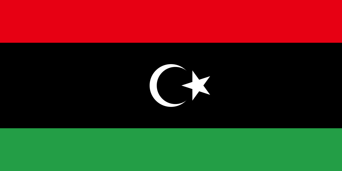 .LY Domain Names | Country Code Top Level Domain (ccTLD) for Libya | NiceNIC.NET