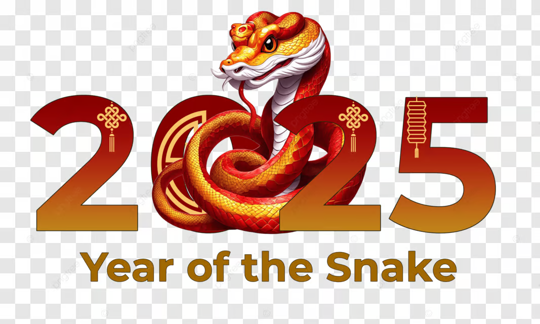 Chinese Snake Horoscope 2025: A Year to Shine and SetGoals