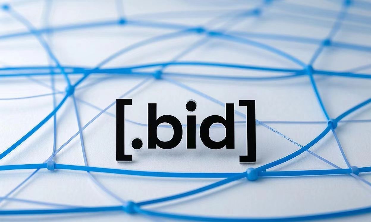 What is a .bid domain name ? Why register a .bid domain name ? Cheap .bid domain name registration