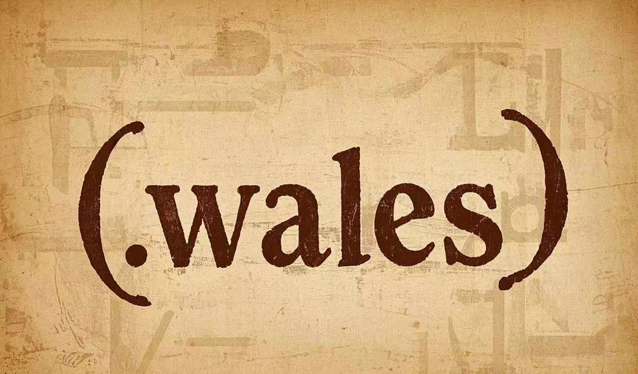 What is .wales domain | Why register .wales domain | Cheap .wales Domain Registration What is .wales domain | Why register .wales domain | Cheap .wales Domain Registration