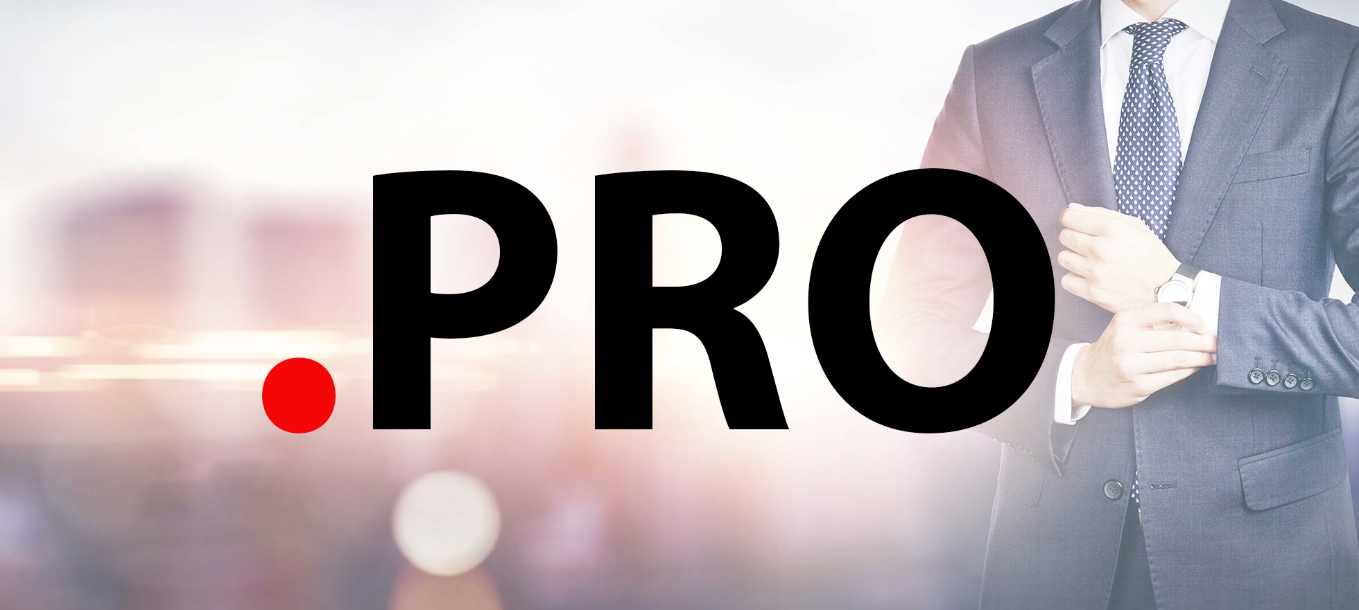 What is .pro domain?  |  limited time discount to help you upgrade brand authority