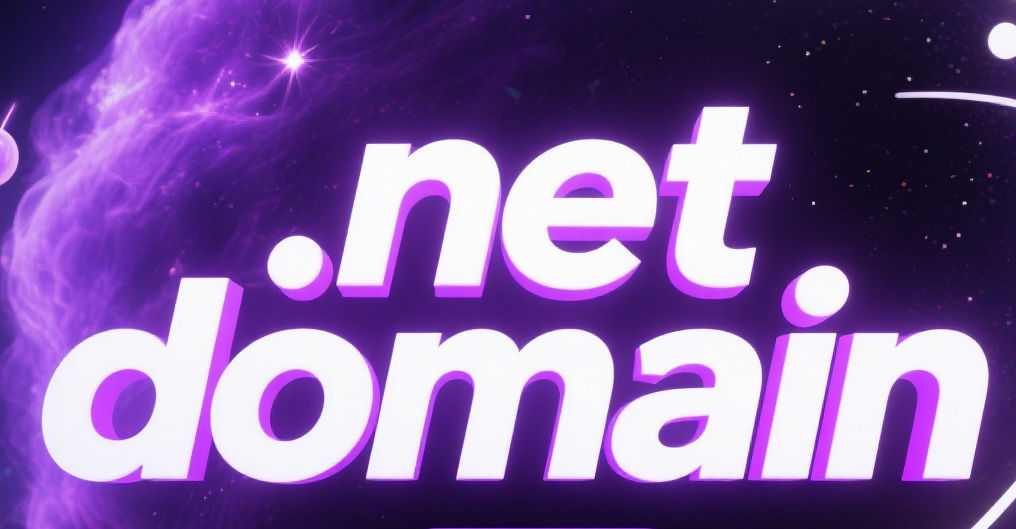 What is a .net domain | Cheap .net Domain Name Registration