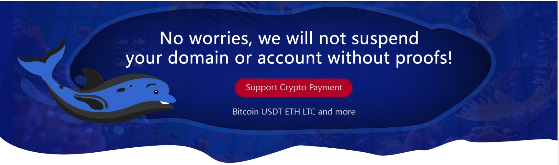 Crypto-Friendly Domain Registrars: NiceNIC.NET Leads with Secure & Flexible Payment Options Crypto-Friendly Domain Registrars: NiceNIC.NET Leads with Secure & Flexible Payment Options