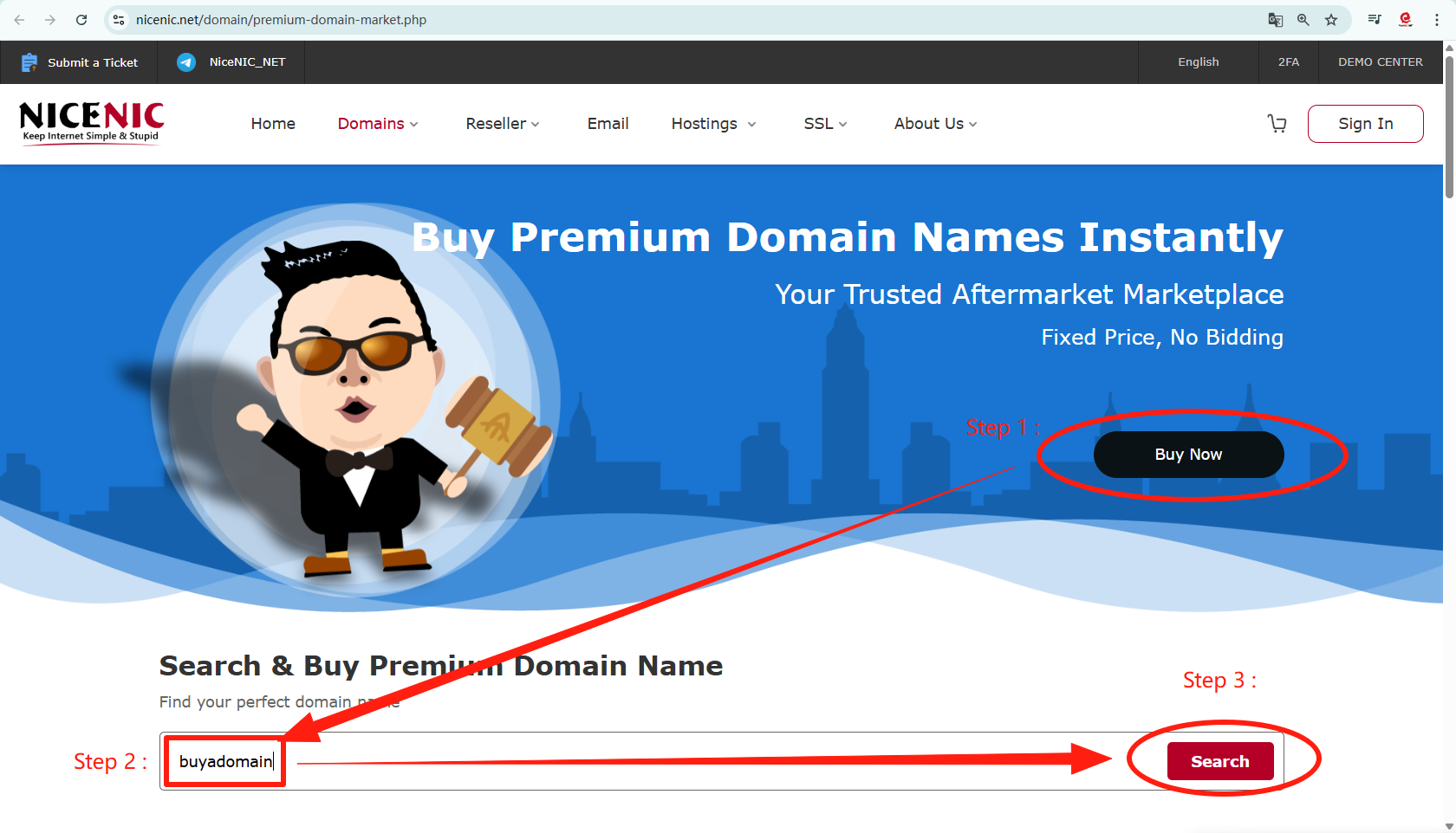 Instantly Secure Premium Domains with NiceNIC_NET’s “Buy Now” Marketplace