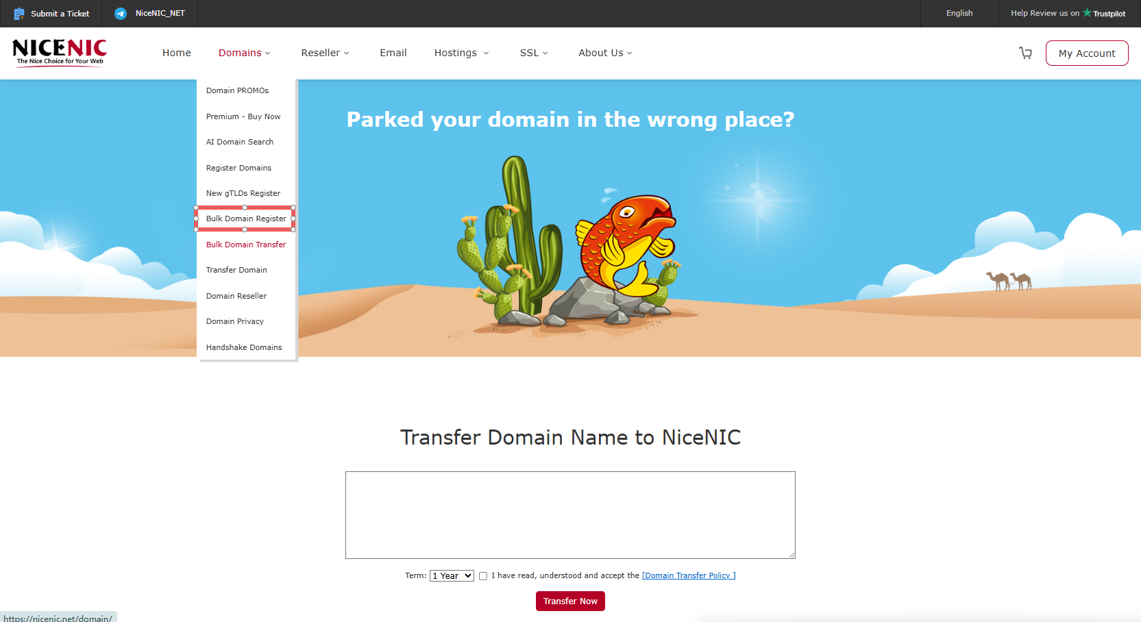Global Domains, Local Care – m.unionroom.cn Keeps Getting Better