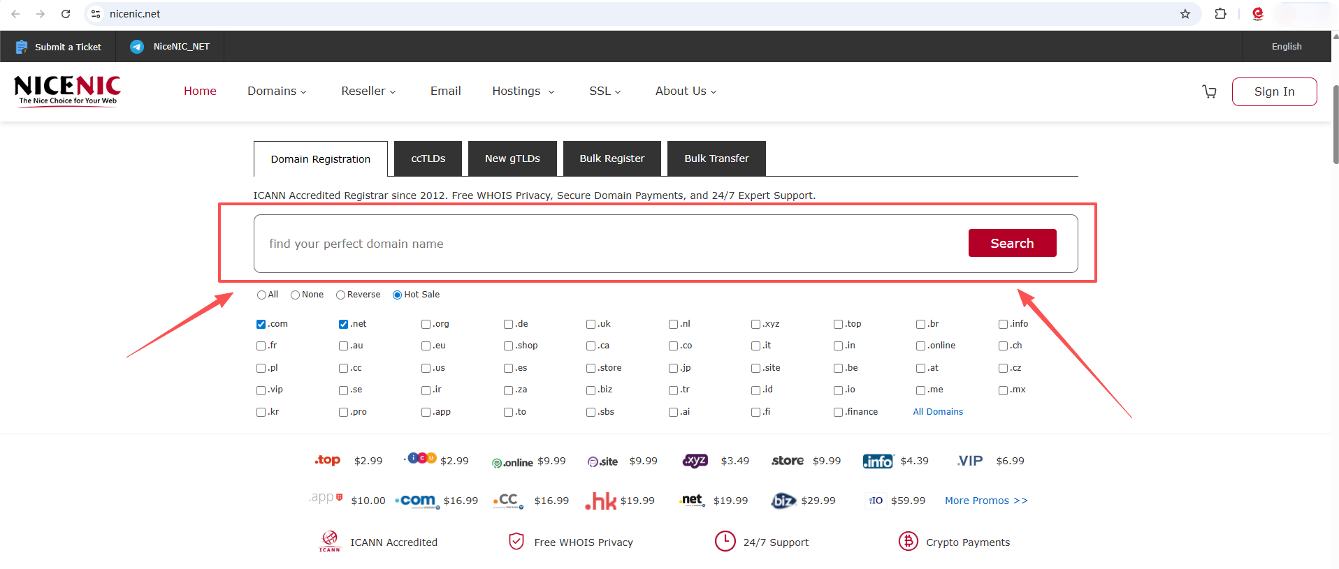 How the Domain Name Search Process Works