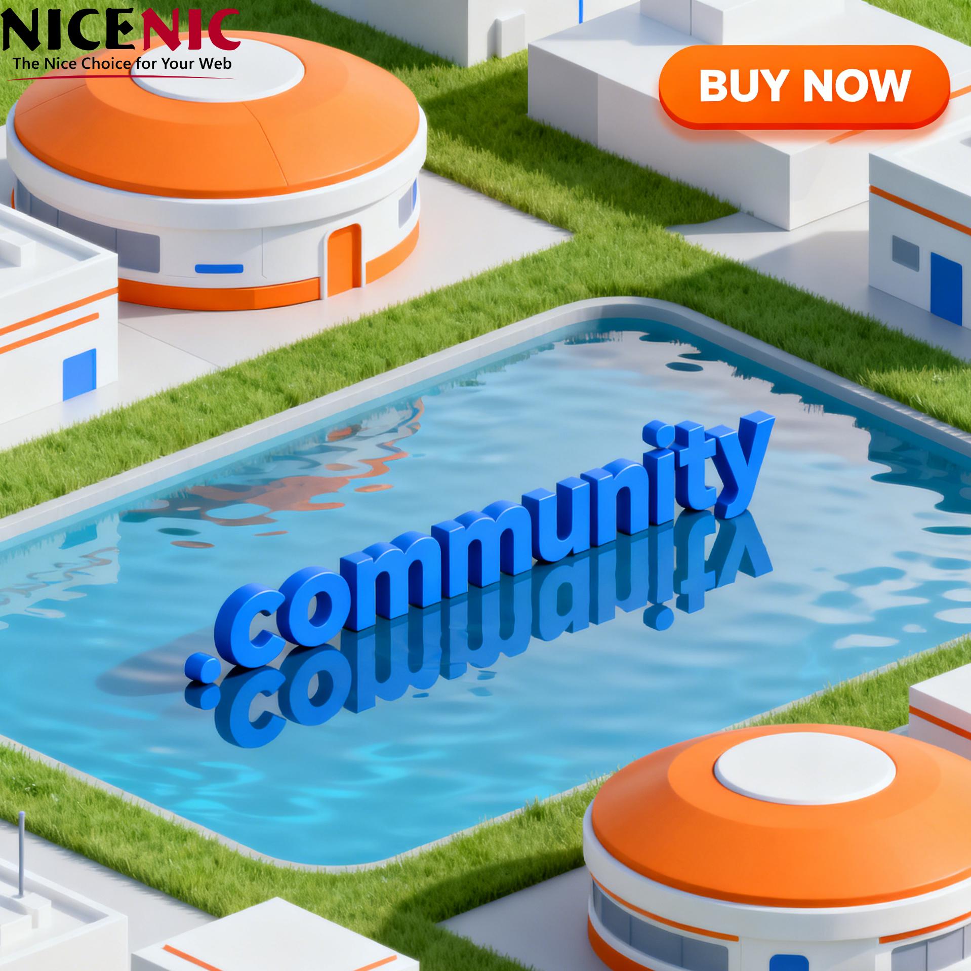 What Can a .community Domain Do to Strengthen Your Digital Presence?