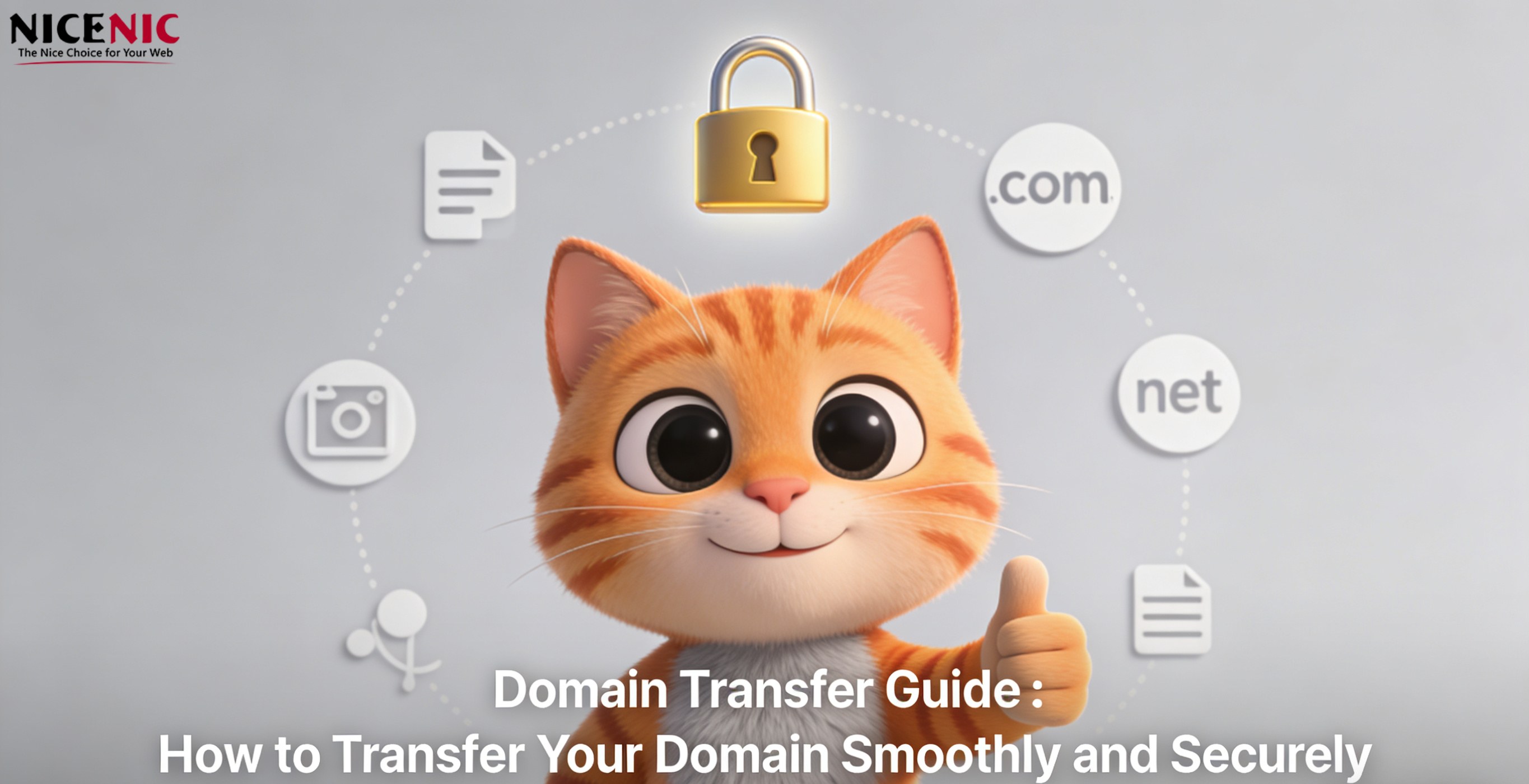 Domain Transfer Guide：How to Transfer Your Domain Smoothly and Securely