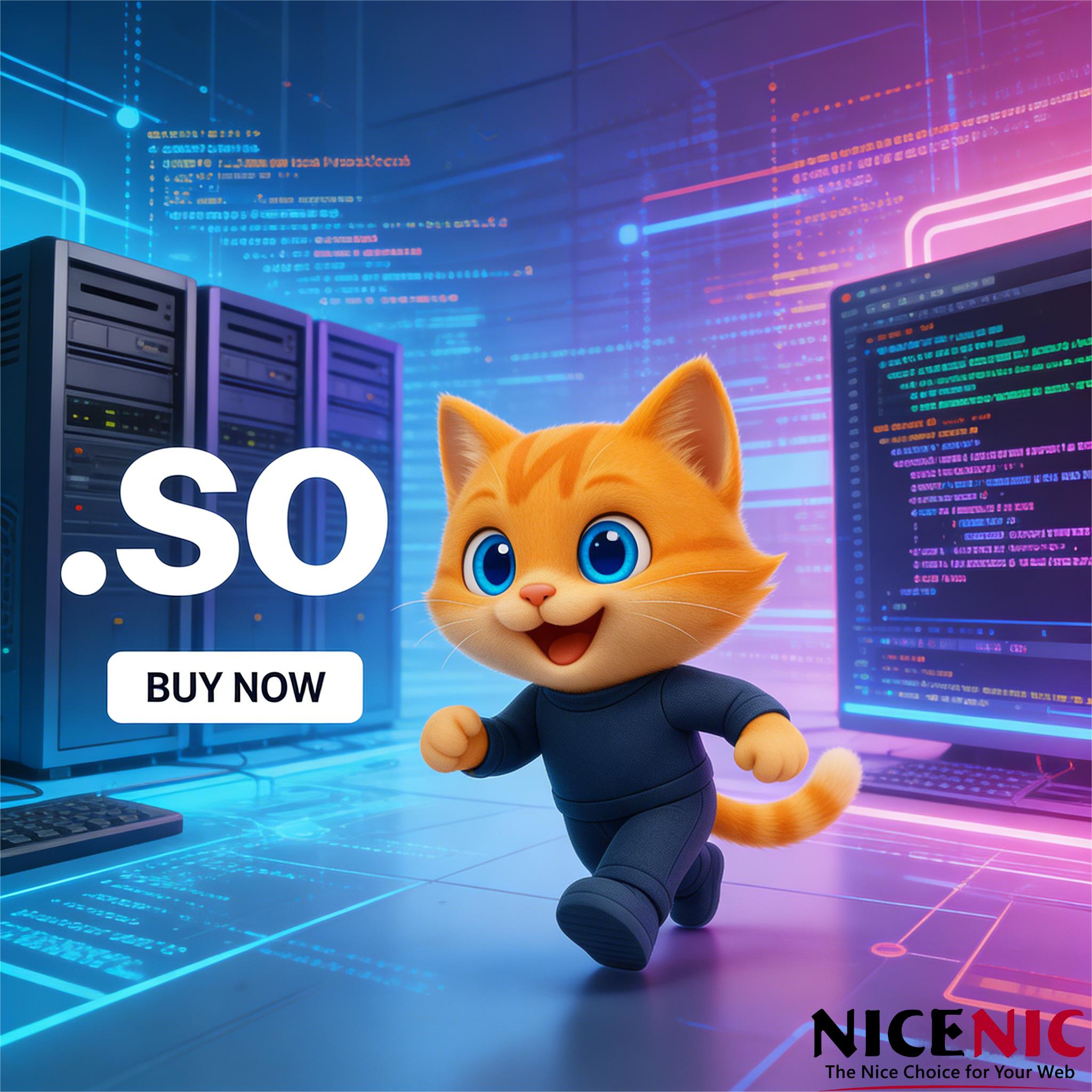 What Is .so? Everything You Need To Know About .so Domains