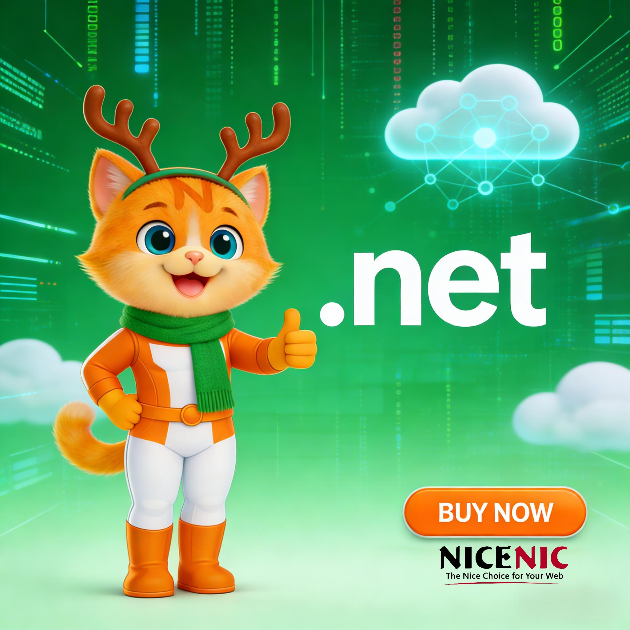 What Is .net Everything You Need to Know About .net Domains