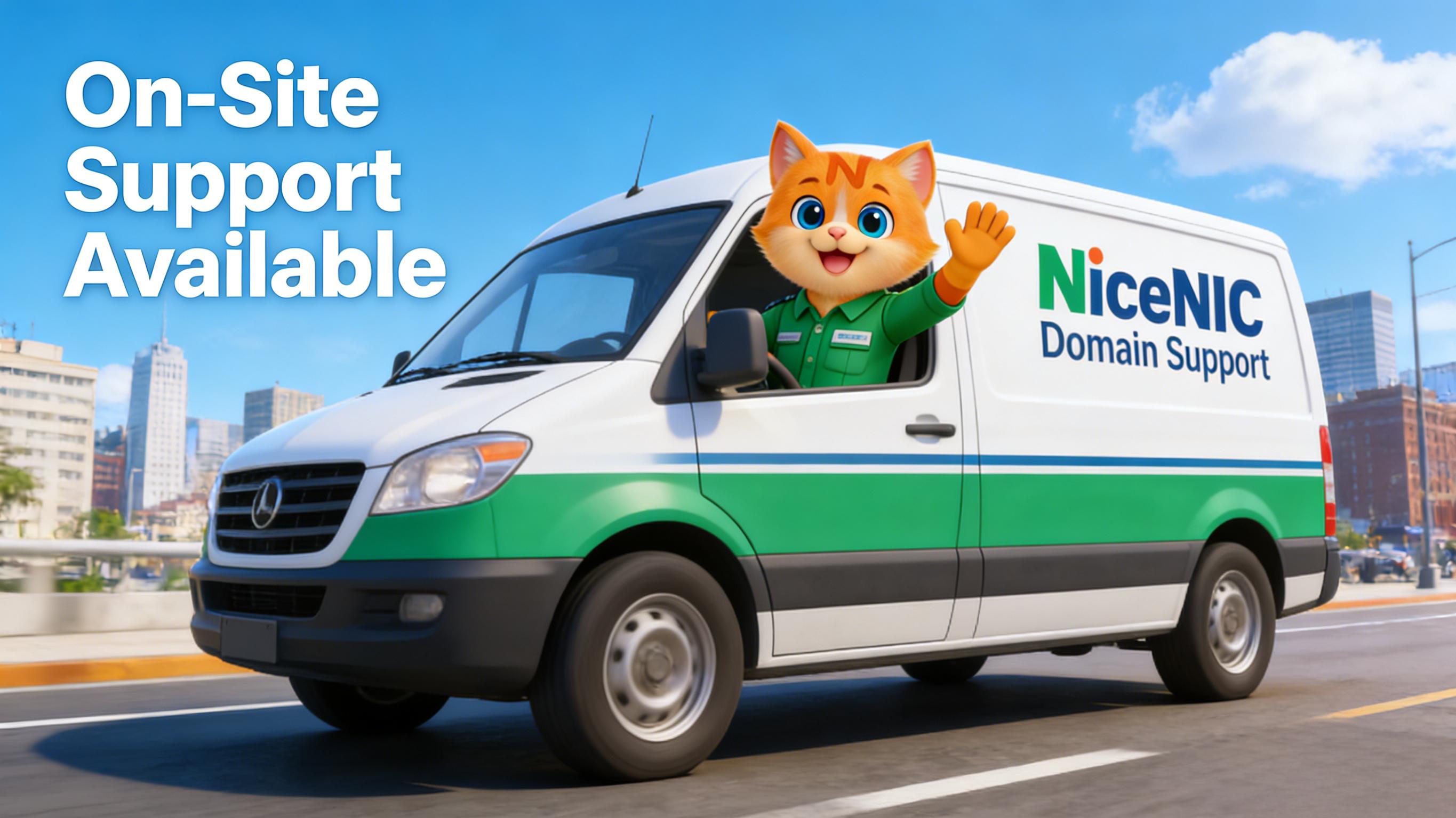 How to Offer Ongoing Domain Management and Support to Clients