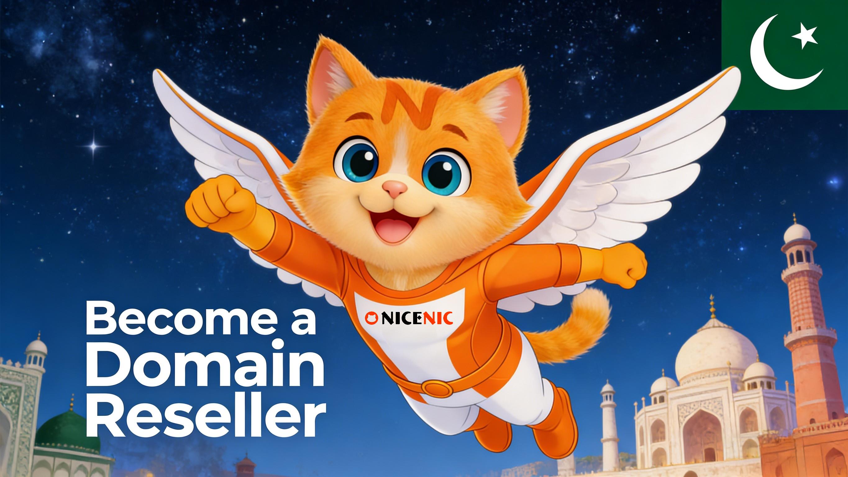 Partner with NiceNIC to Build Pakistan’s Digital Infrastructure