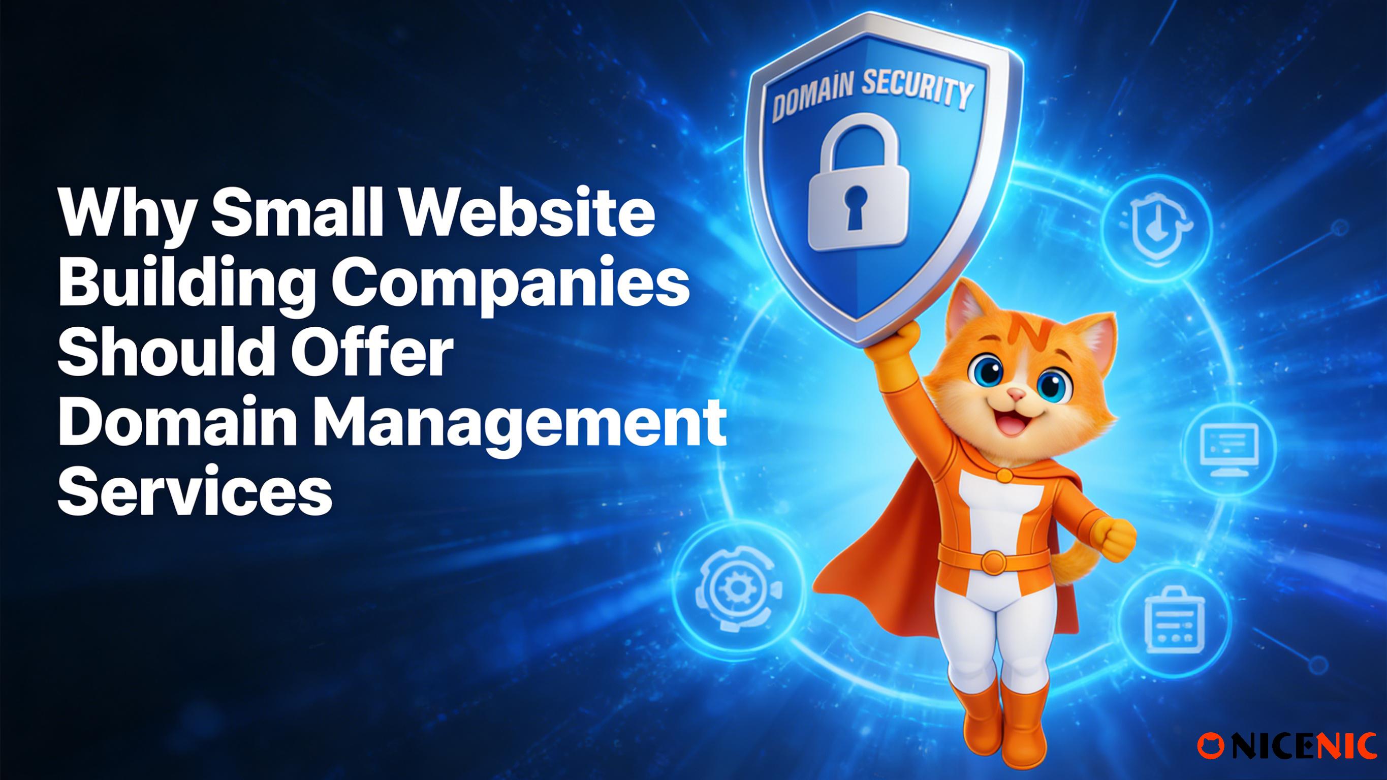 Why Small Website Building Companies Should Offer Domain Management Services