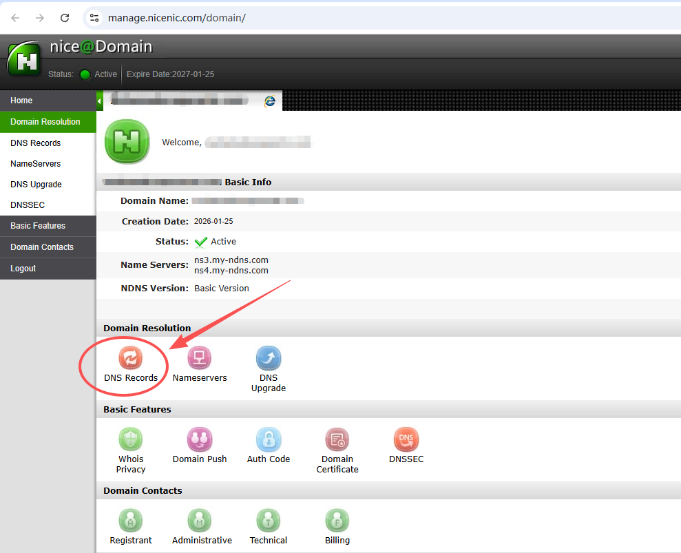 NiceNIC- DNS recouds NiceNIC- DNS recouds