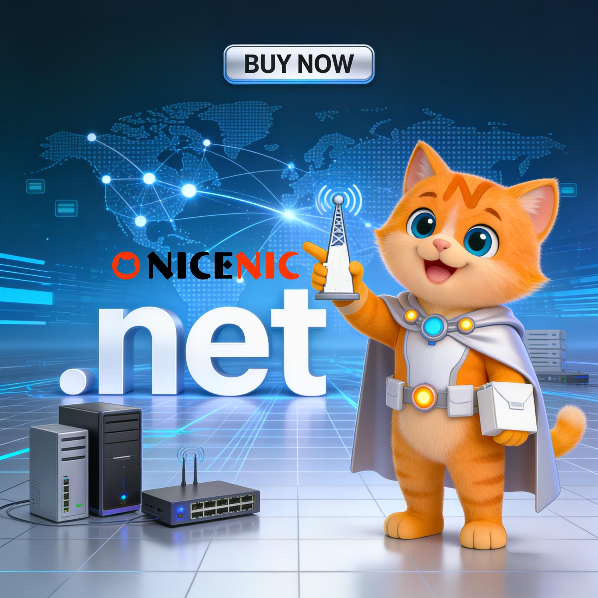 What is a .net domain? Where can I register a .net domain?
