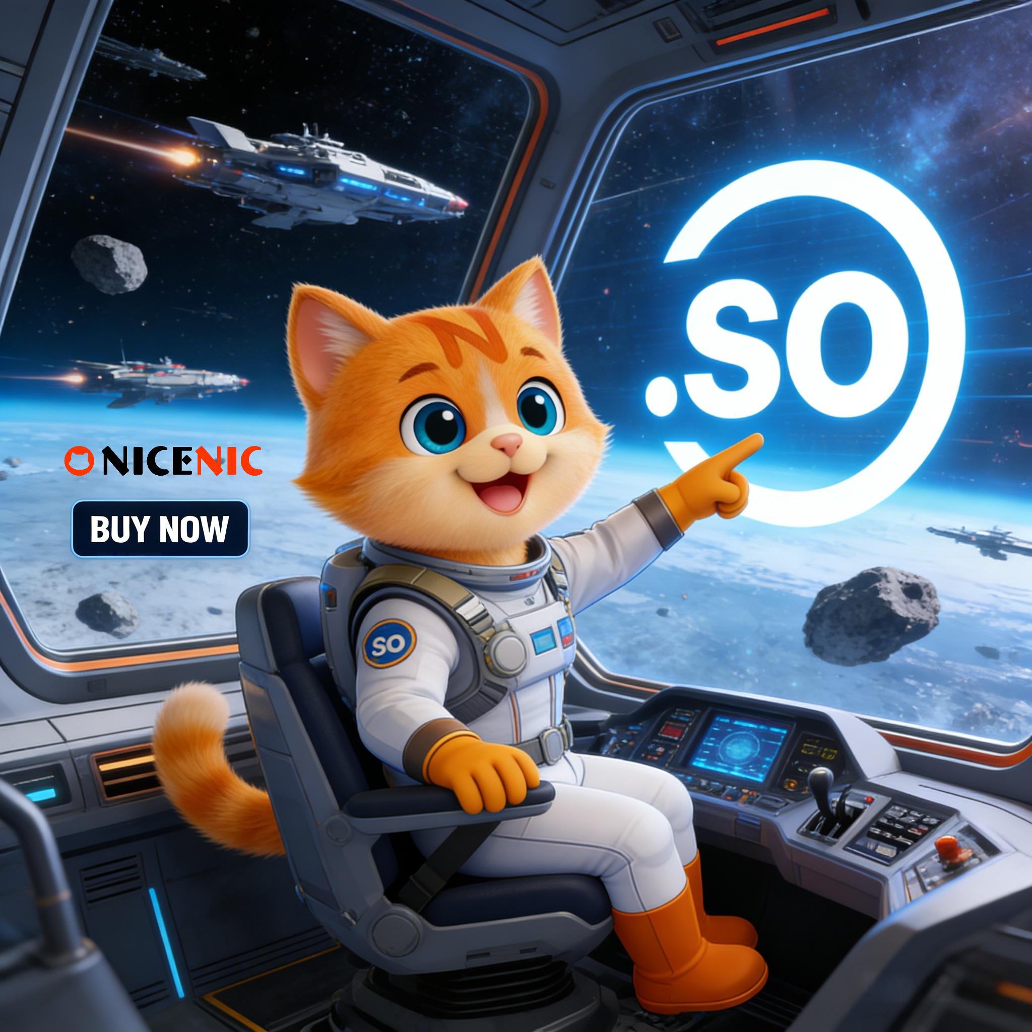 What is a .so? | Get Practical Information About .so domain