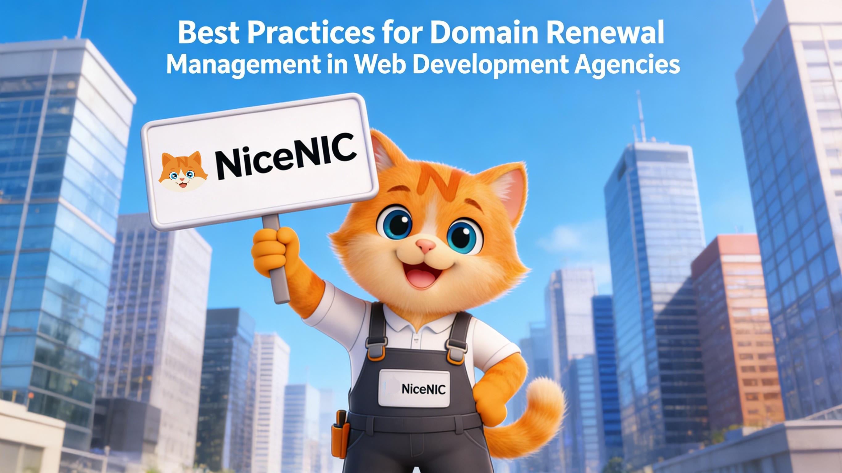 Best Practices for Domain Renewal Management in Web Development Agencies Best Practices for Domain Renewal Management in Web Development Agencies