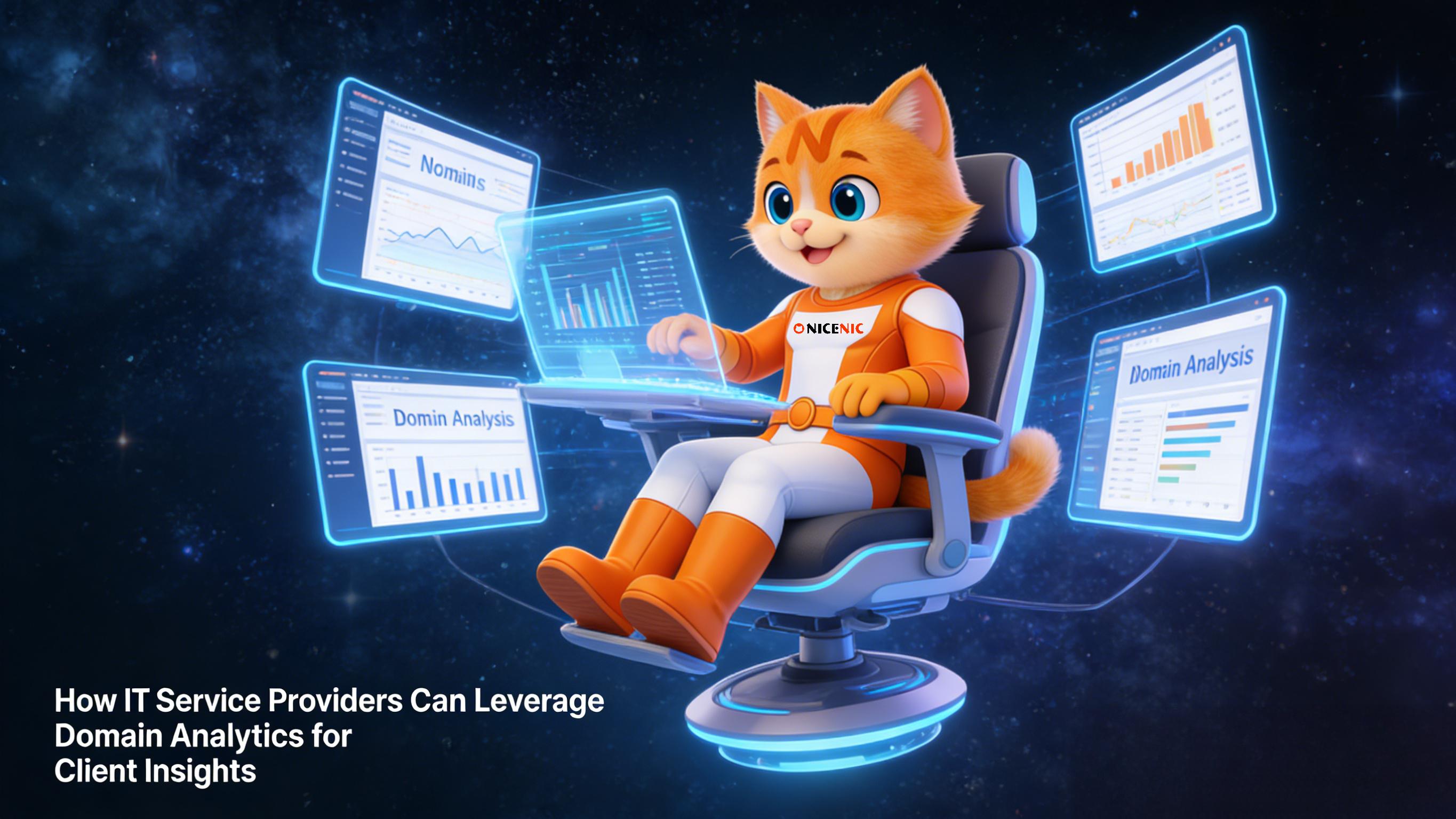 How IT Service Providers Can Leverage Domain Analytics for Client Insights