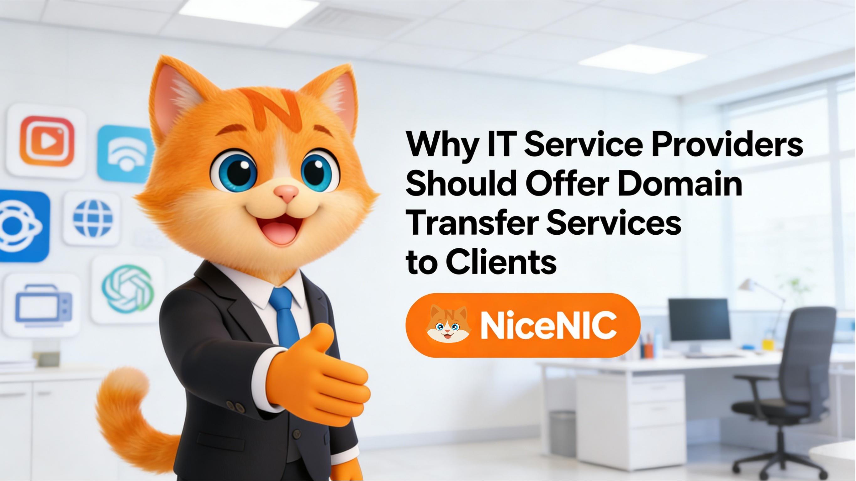 Why IT Service Providers Should Offer Domain Transfer Services to Clients Why IT Service Providers Should Offer Domain Transfer Services to Clients