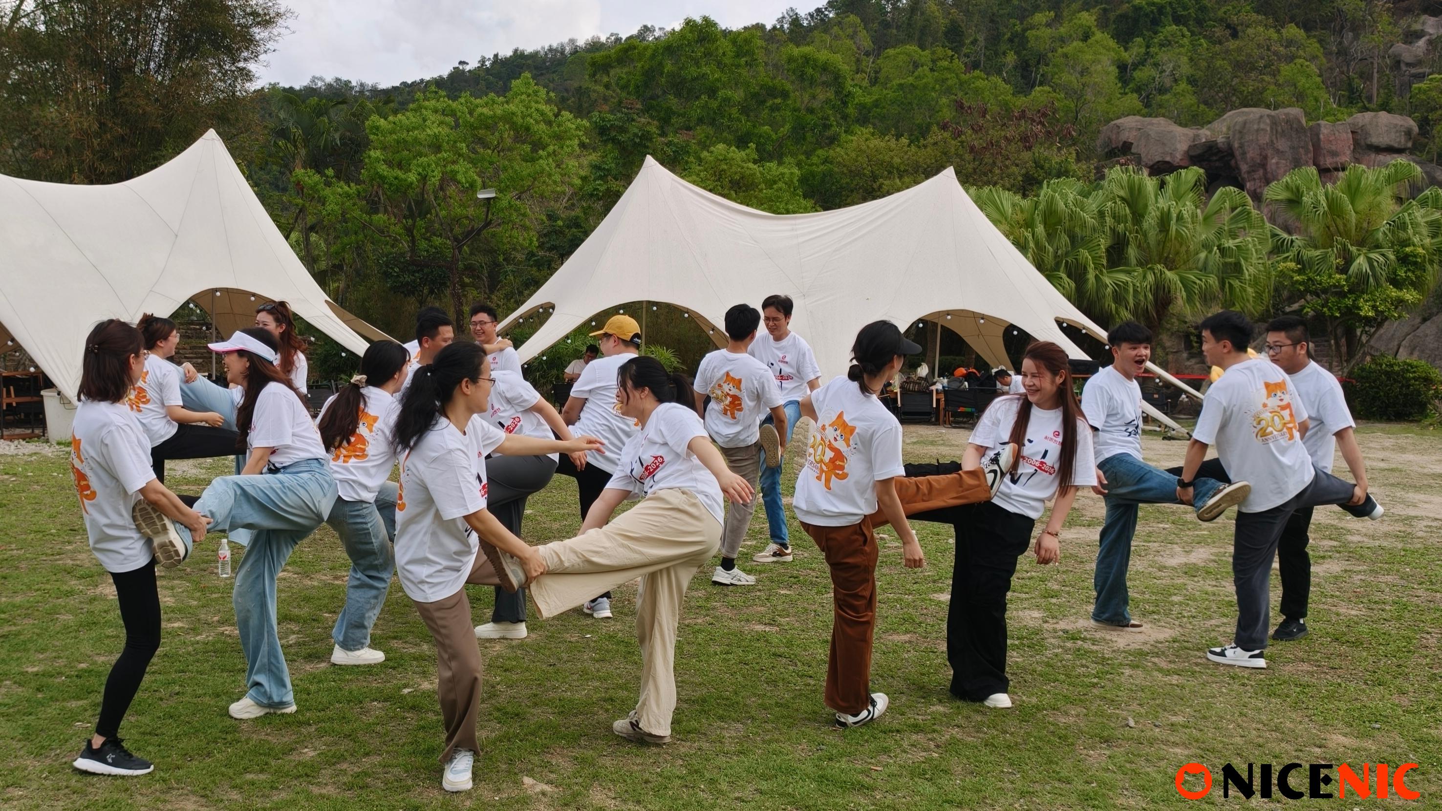 NiceNIC 20th Anniversary: How We Work, Align, and Grow Together