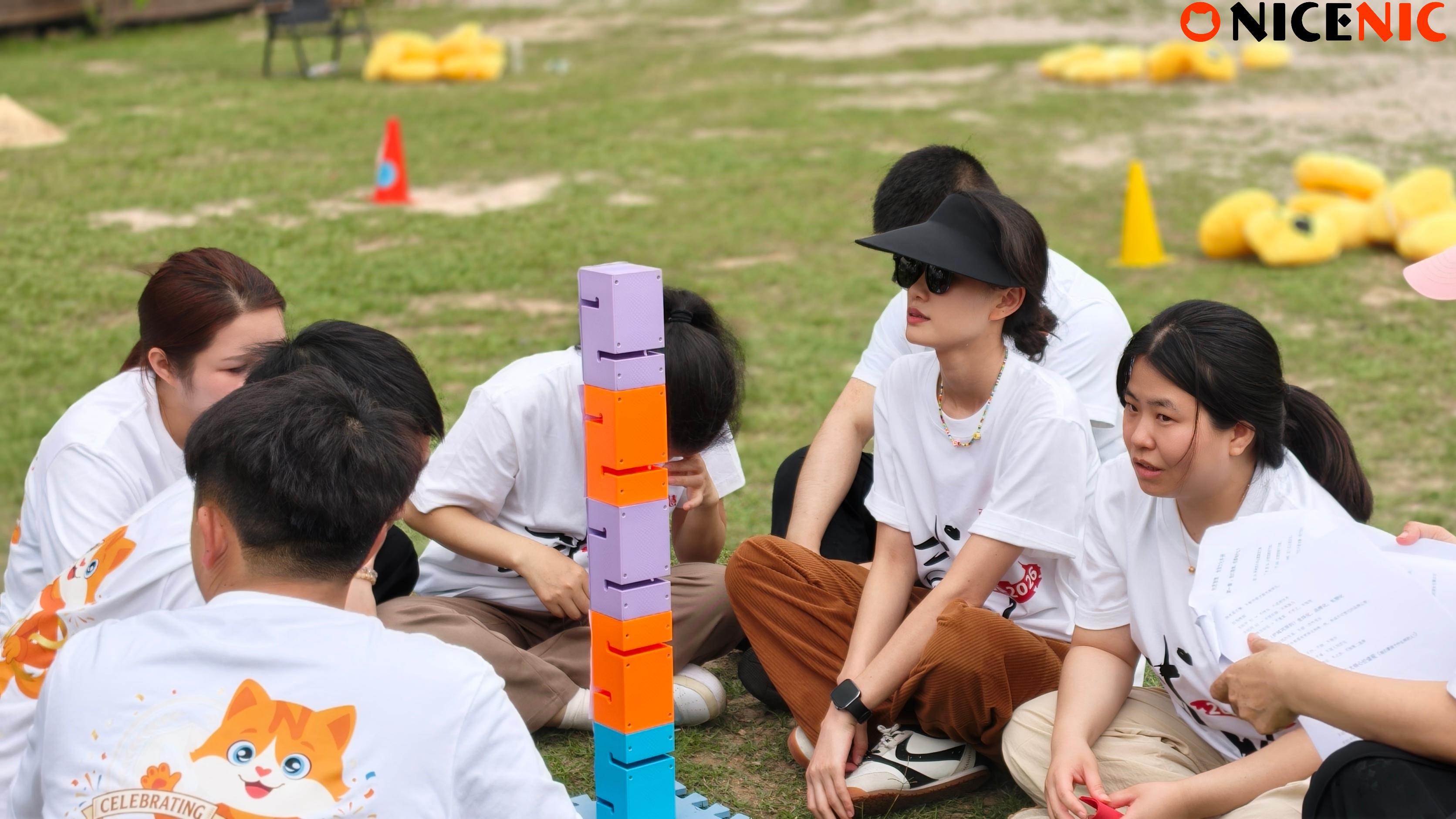 NiceNIC 20th Anniversary: How We Work, Align, and Grow Together