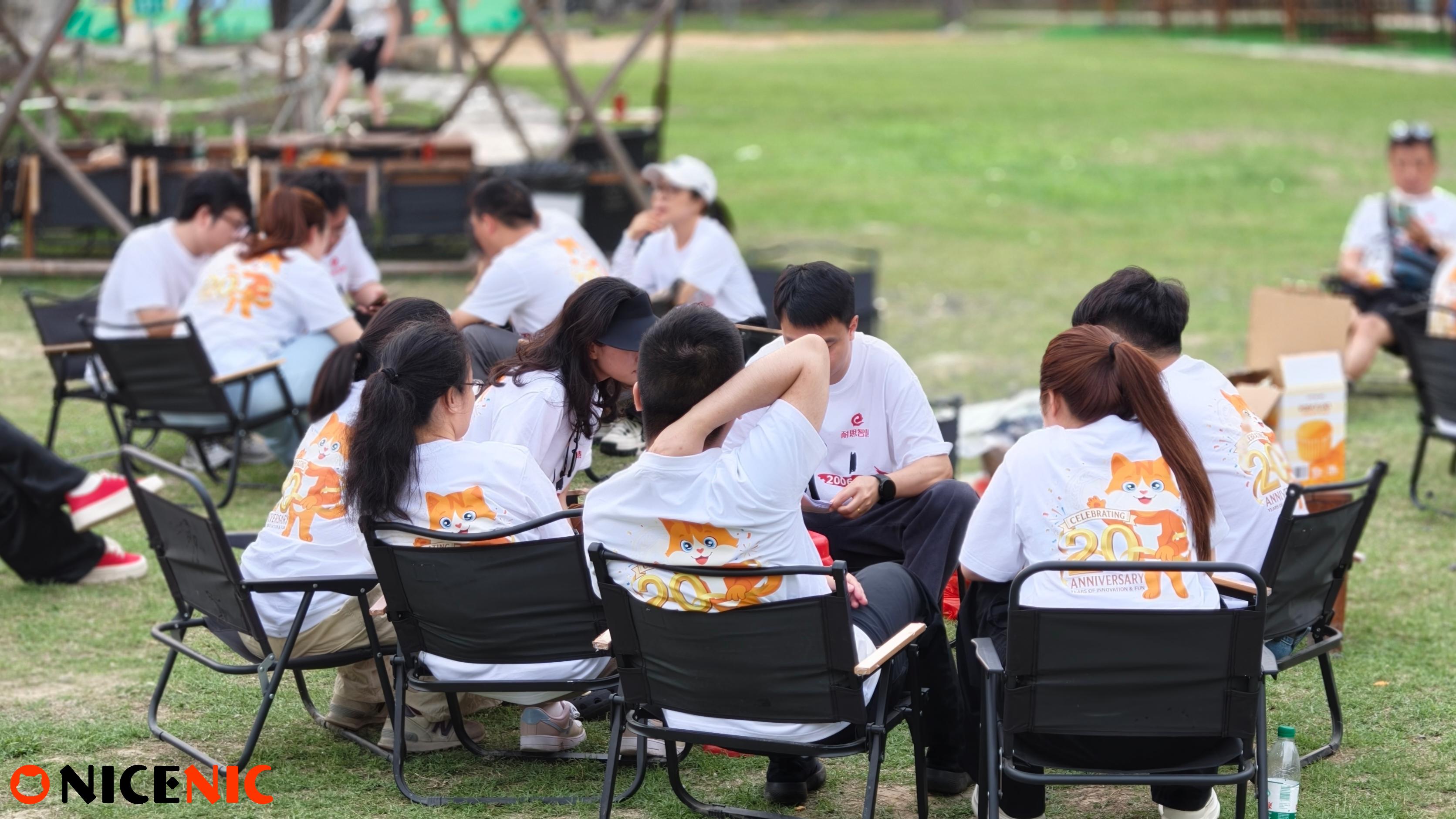 NiceNIC 20th Anniversary: How We Work, Align, and Grow Together