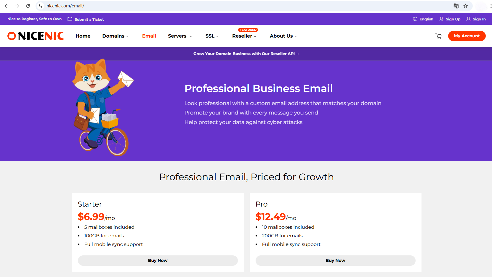 Nicenic Product Overview: Domains, Email, SSL, Servers, and Reseller Tools in One Platform
