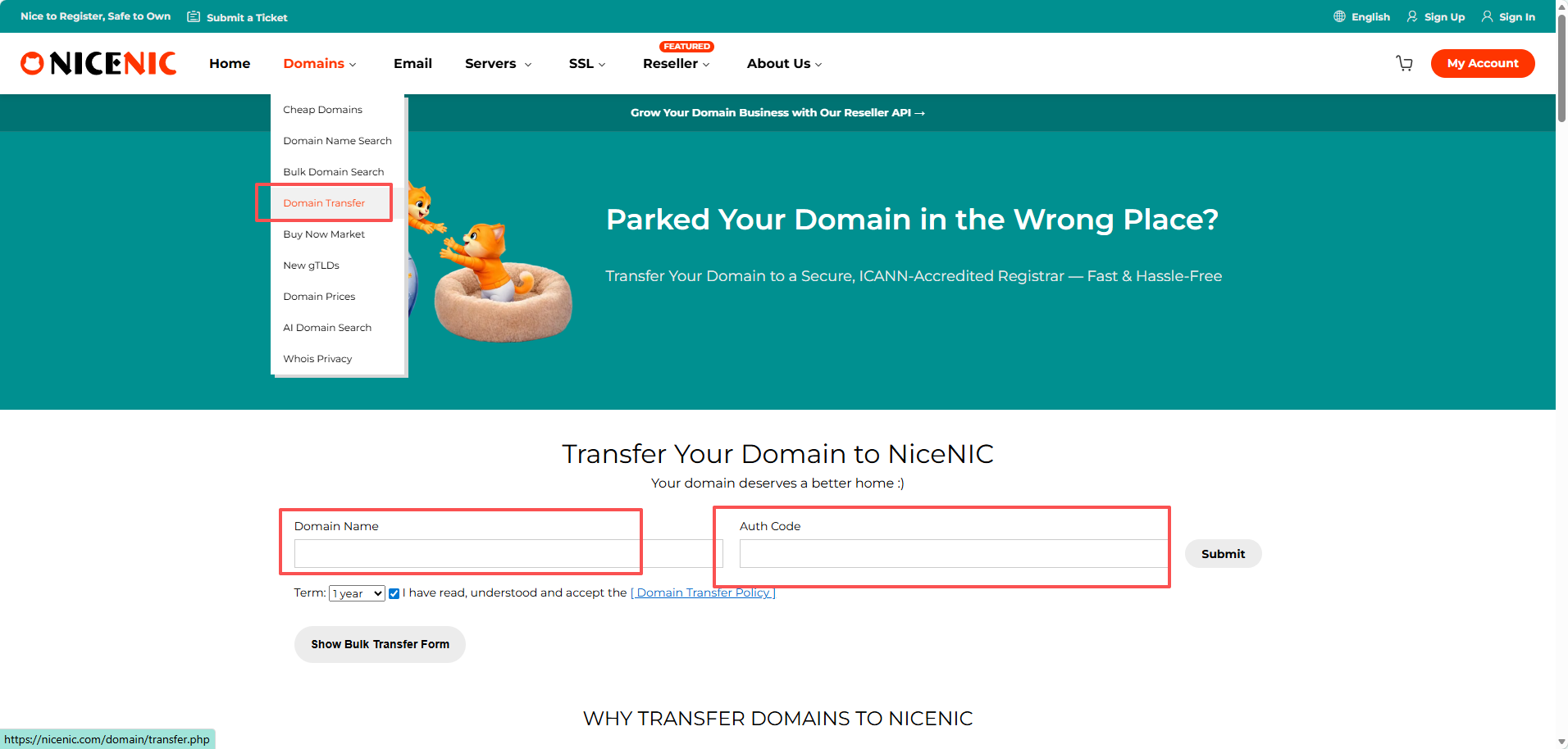 transfer a domain