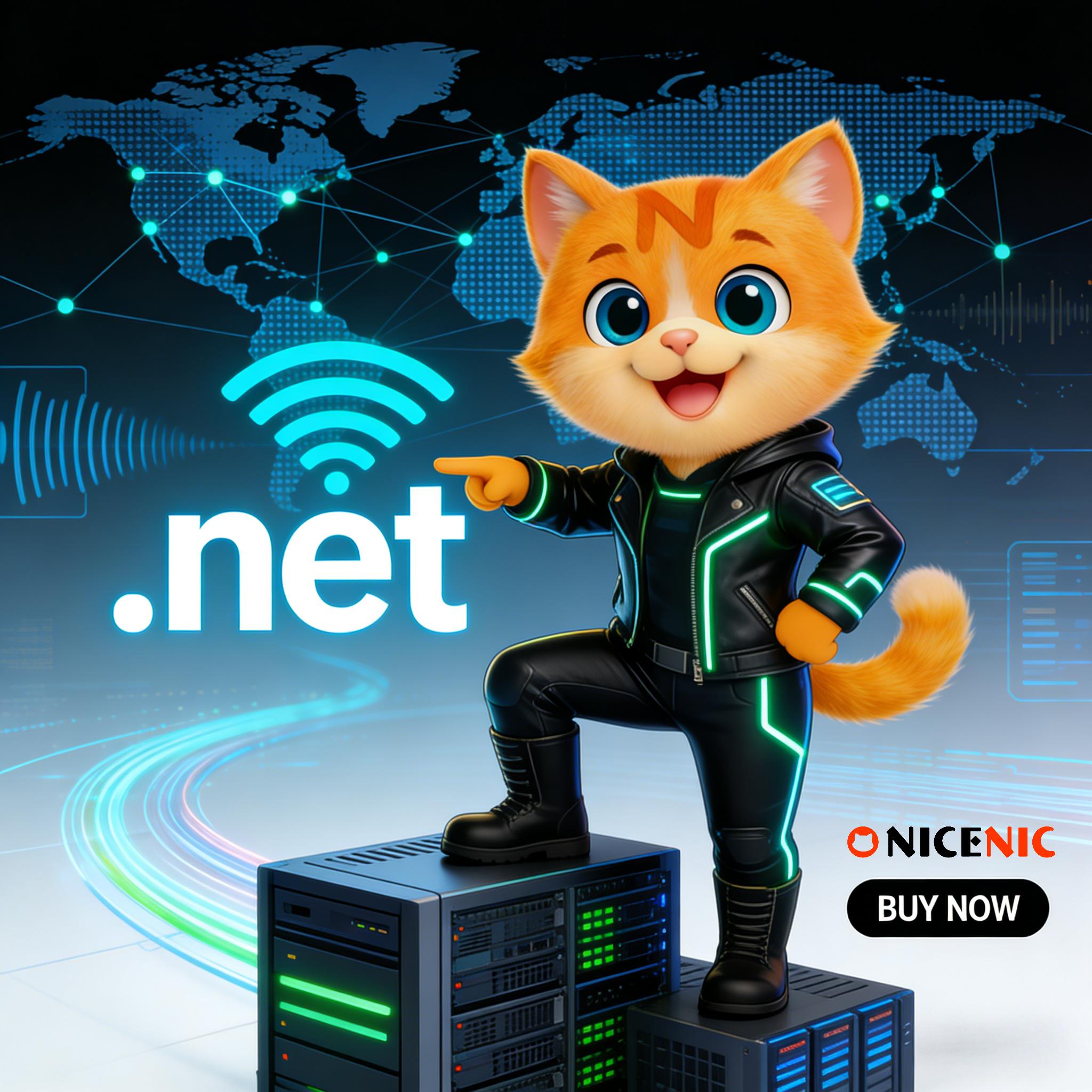 What Is .net? Everything You Need To Know About .net Domains