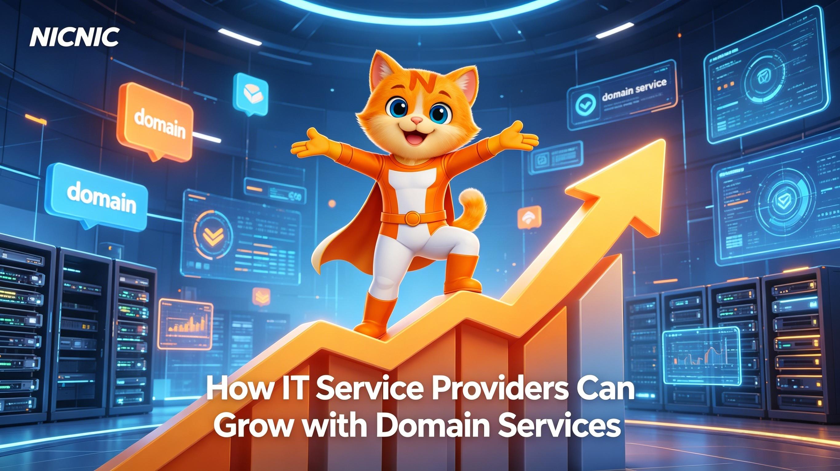 How IT Service Providers Can Grow with Domain Services