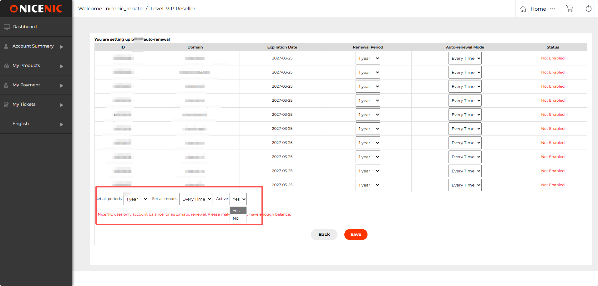 How to Set Up Bulk Auto-Renewal for Your Domains