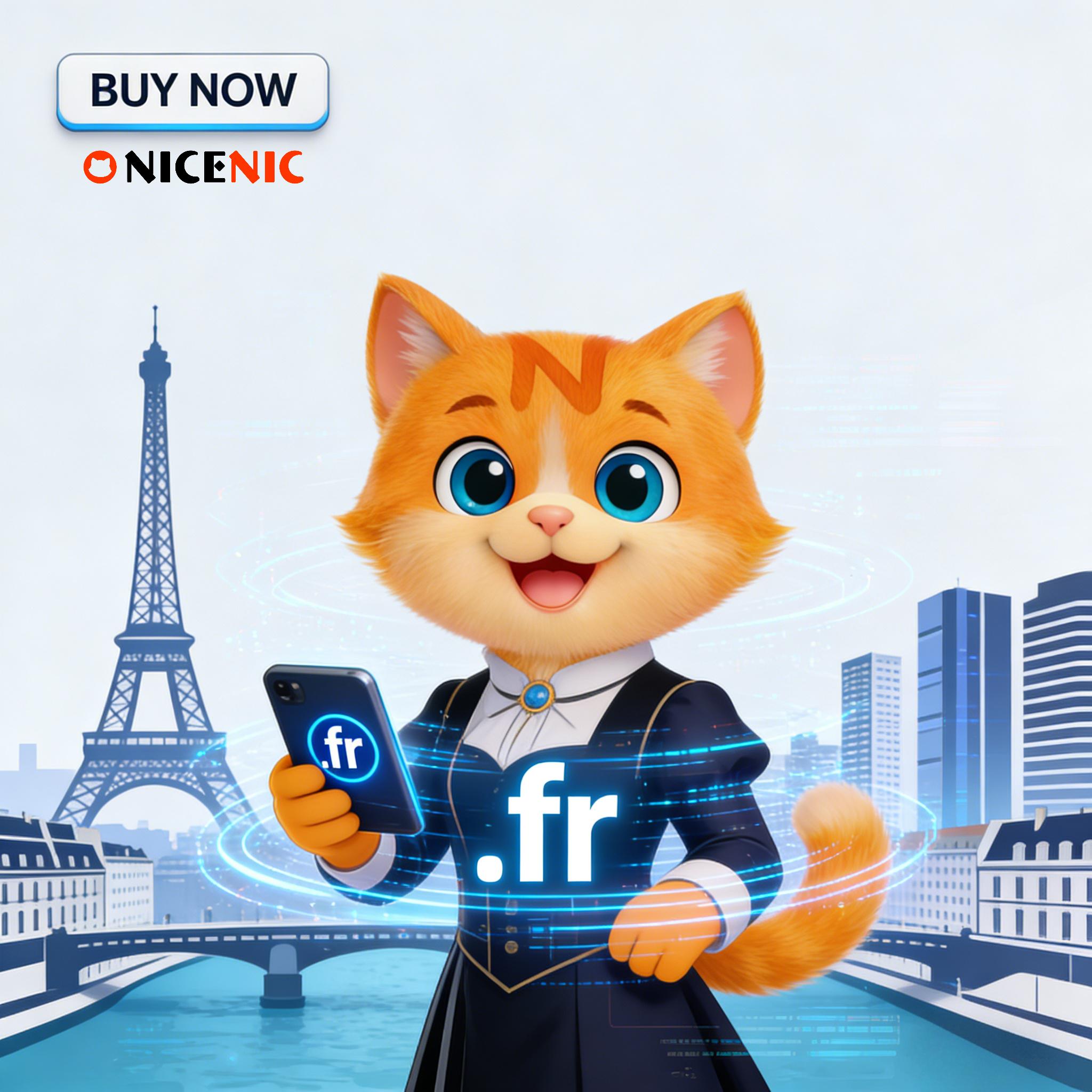 How to Register a .FR Domain at NiceNIC How to Register a .FR Domain at NiceNIC