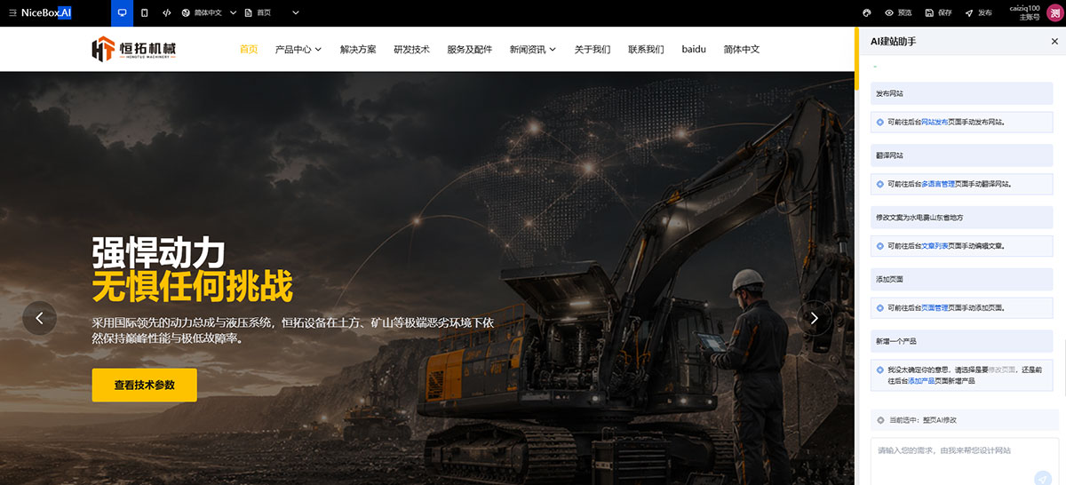 网站导入后效果 网站导入后效果