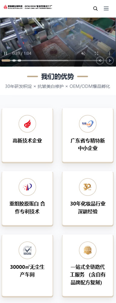 ������٤������Ƽ����޹�˾�����ֻ���չʾ